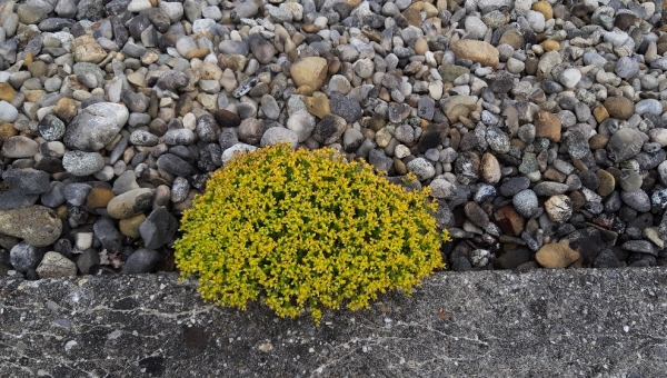 Neues Interview mit jungen Frau aus der Ukraine