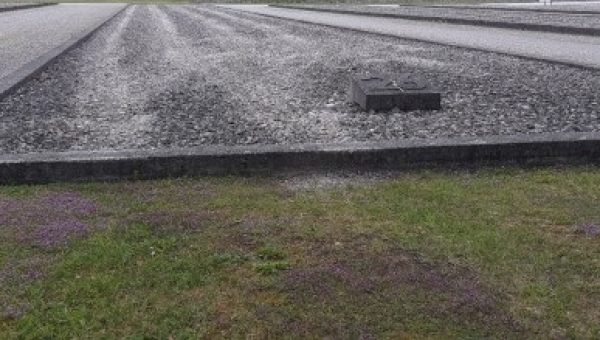 Dachaumärtyrer Josef Averesch bei Radio Horeb